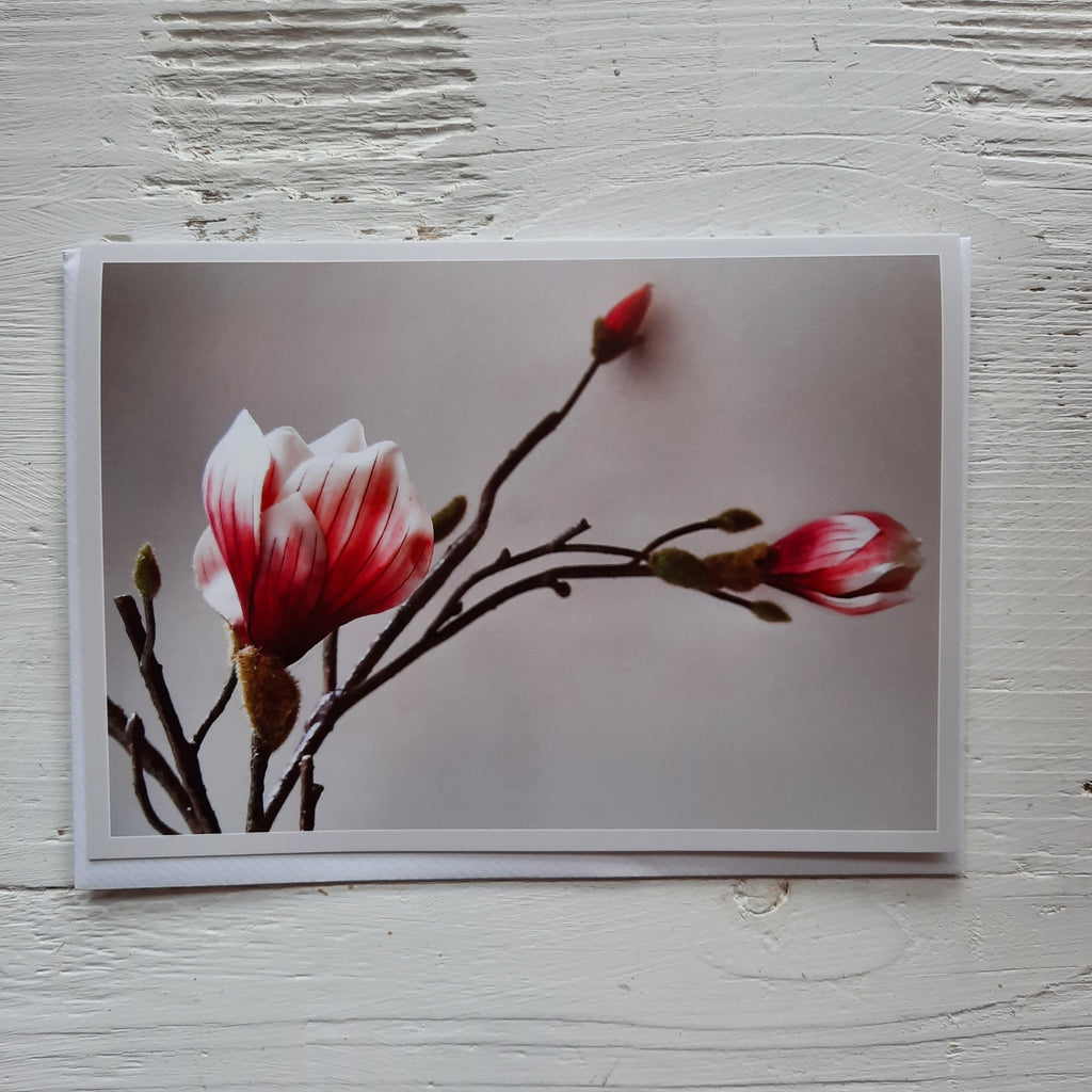 Beileid - julia hufnagel