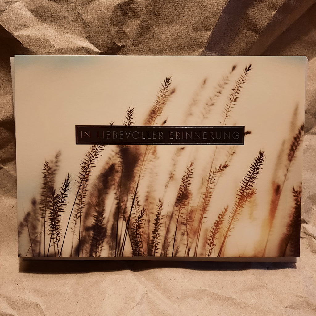 In liebevoller Erinnerung - julia hufnagel