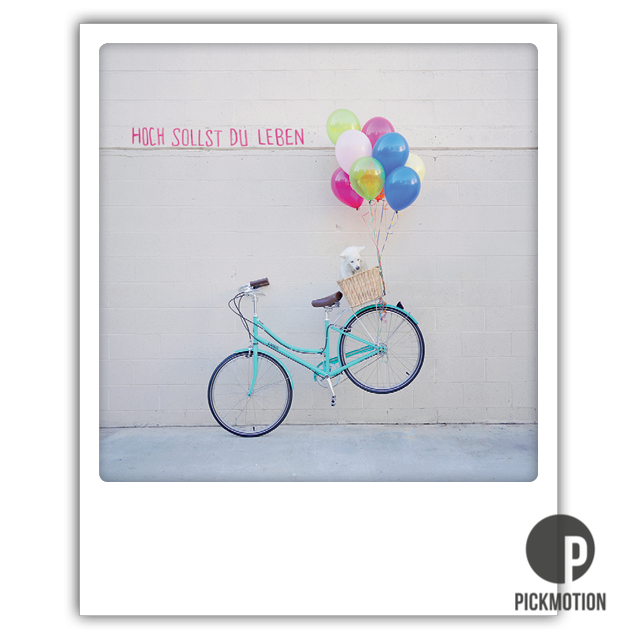 Pickmotion Karten | Polaroidoptik | Geburtstag | Hochzeit | Sprüche | Geburt | Taufe | Feier | Party | Tiere | Weihnachten | Concept Store | Burgfarrnbach Fürth | Nürnberg Erlangen