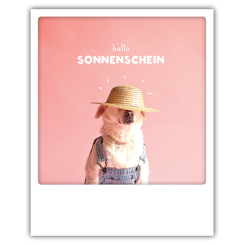 Hallo Sonnenschein - julia hufnagel