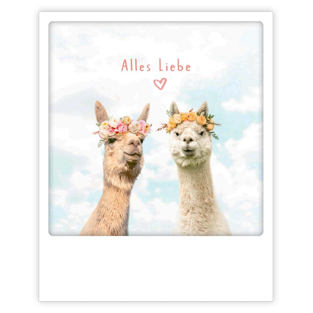 Alles Liebe Lama - julia hufnagel 