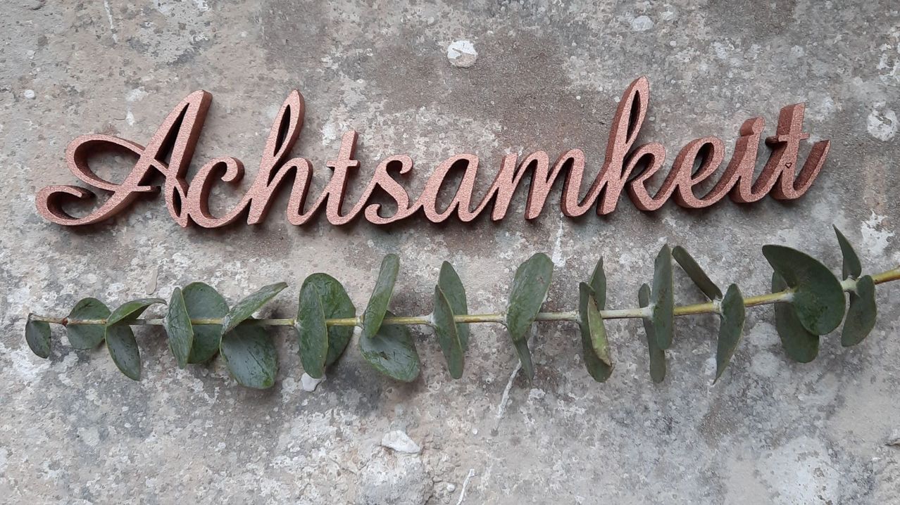 nogallery schriftzüge holz