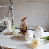 Hase Karl klein - julia hufnagel 