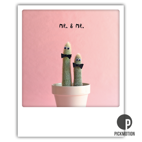 Mr. & Mr.