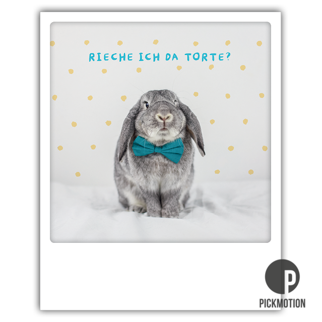 Pickmotion Karten | Polaroidoptik | Geburtstag | Hochzeit | Sprüche | Geburt | Taufe | Feier | Party | Tiere | Weihnachten | Concept Store | Burgfarrnbach Fürth | Nürnberg Erlangen