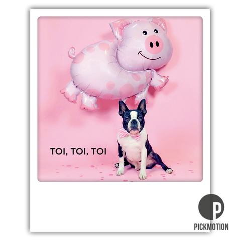 Toi Toi Toi